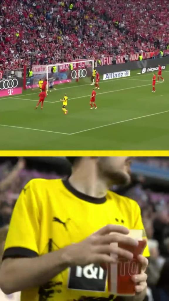 勇者無(wú)懼！這是真多特球迷！在拜仁球迷區(qū)一個(gè)人肆意慶祝！