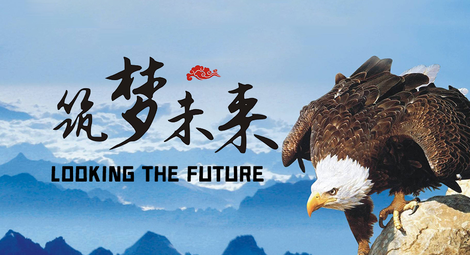 公司簡介